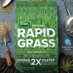 tall fescue grass seed