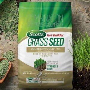 tall fescue grass seed