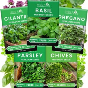 5 Herb Seeds Variety Kit for Home Garden
