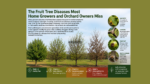 Why Fruit Trees Die Suddenly – Common Diseases Guide