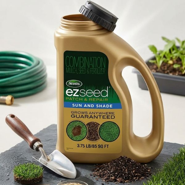 grass seed patch repair