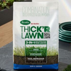 lawn thickening seed mix