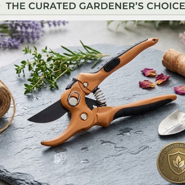 ratchet anvil pruning shears