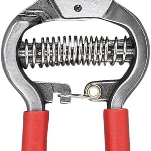 Corona BP 3180D Forged Classic Bypass Pruner