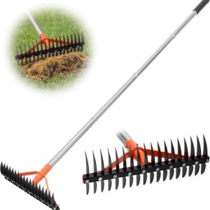 Thatch Rake for Lawns