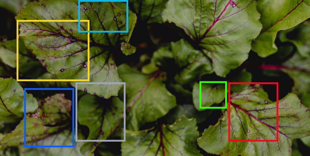 Plant Disease Detection – Smart Methods for Healthy Crops