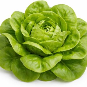 Buttercrunch Lettuce Seeds