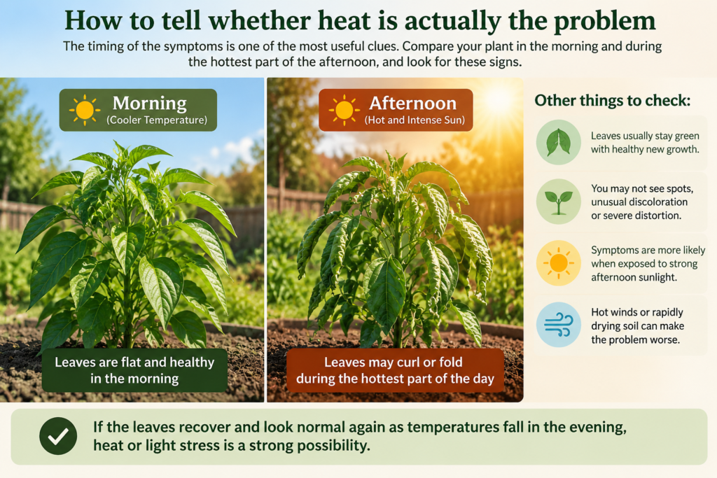 How to tell whether heat is actually the problem