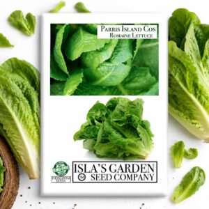 Parris Island Cos Romaine Lettuce Seeds