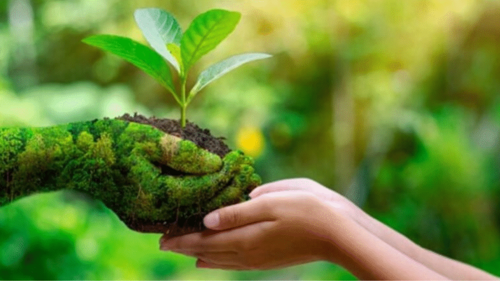 Organic Farming – Sustainable Methods for Healthy Harvests