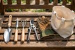 10 Best Garden Tool Sets for Beginners