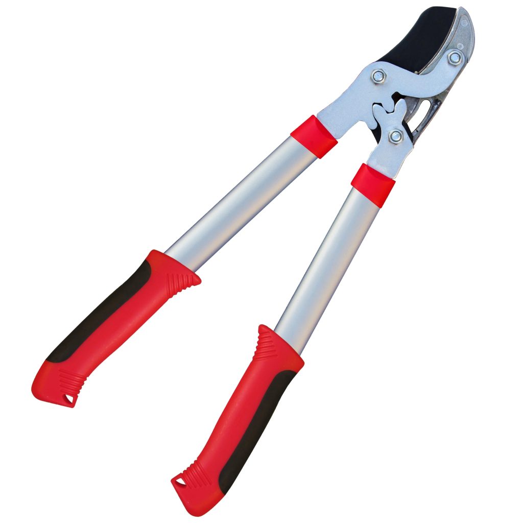 best loppers - Tabor Tools GB19A Anvil Lopper