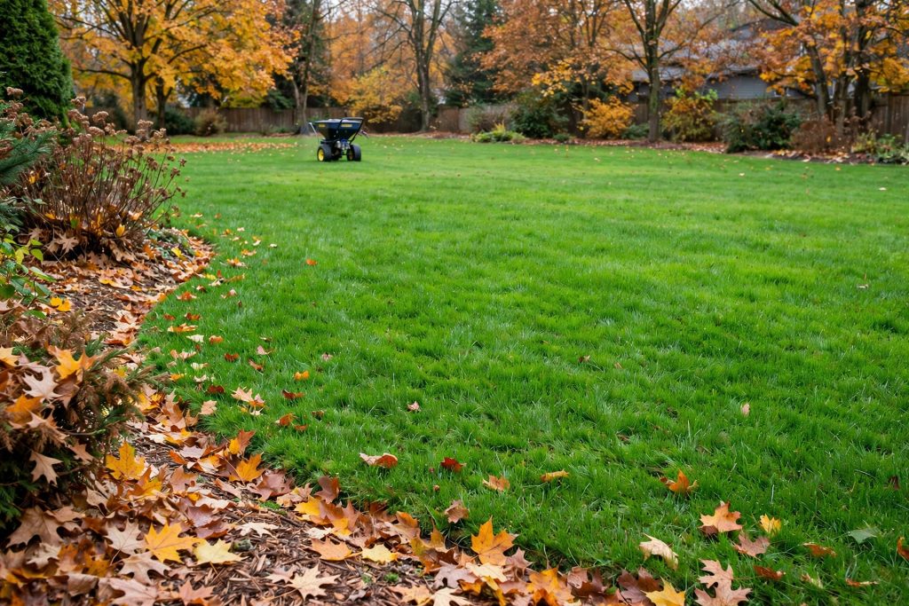 Autumn lawn with a broadcast spreader and fallen leaves