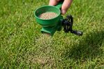 Scotts Whirl handheld spreader