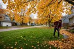 Fall Lawn Care Checklist – 9 Jobs Before Winter
