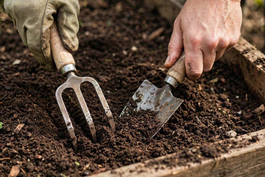 Garden hand tools for digging, a trowel and hand fork loosening garden soil