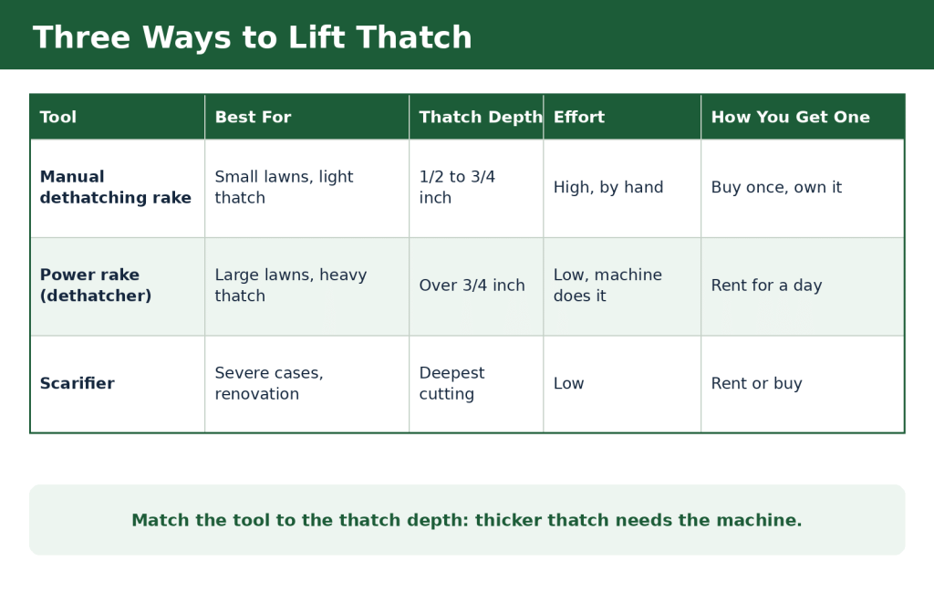 Comparison of manual dethatching rake, power rake and scarifier for lawn thatch removal
