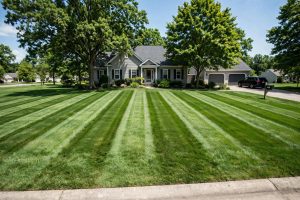 How to Stripe a Lawn Like a Pro