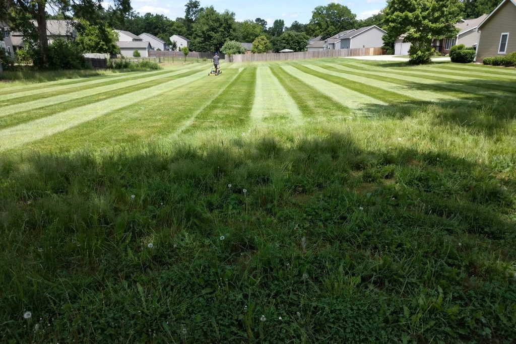 How to stripe a lawn step 5: alternating light and dark mowing stripes