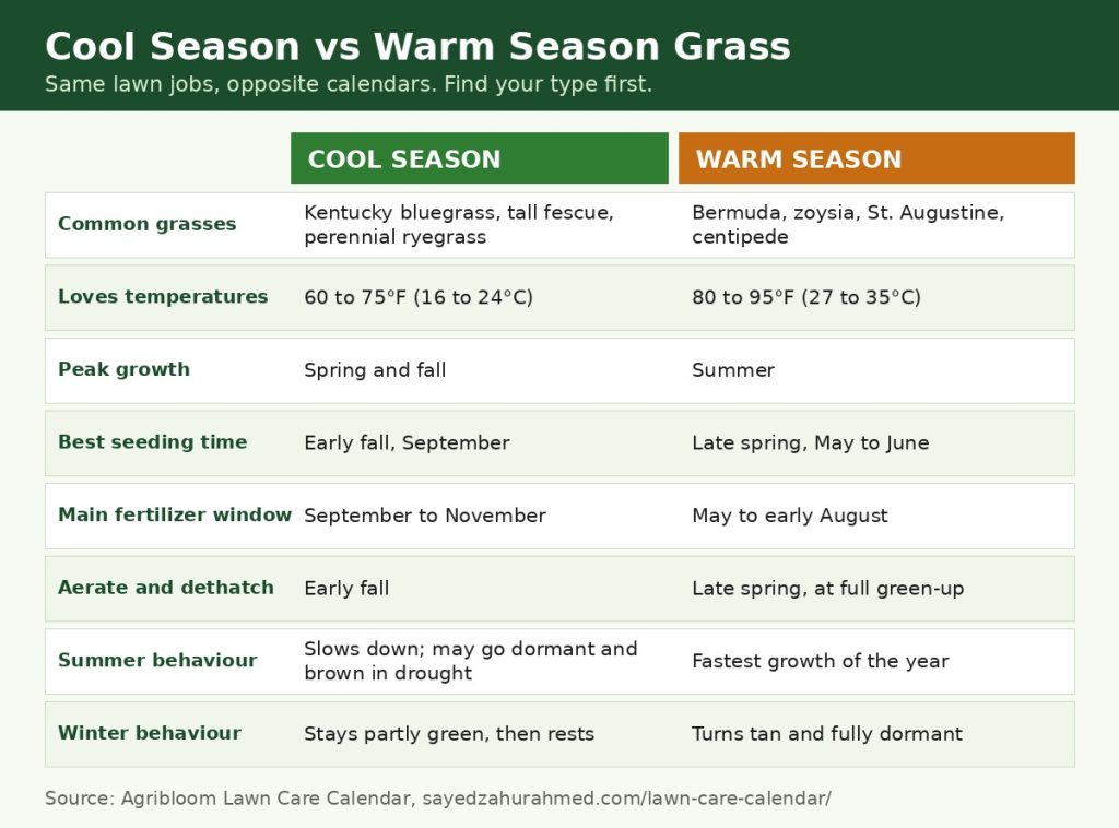 Cool season vs warm season grass infographic comparing grasses, peak growth, seeding and fertilizing times
