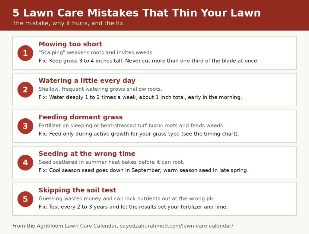 Five common lawn care mistakes infographic: mowing too short, daily light watering, feeding dormant grass, wrong seeding time and skipping the soil test