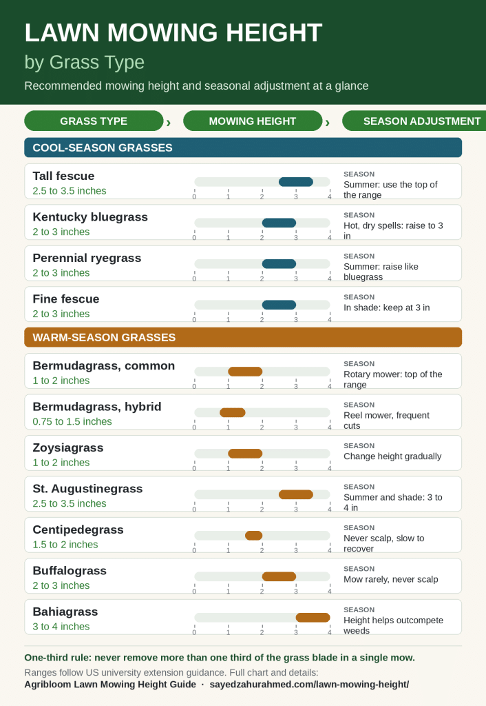 Lawn mowing height by grass type infographic with recommended mowing height and seasonal adjustment for cool-season and warm-season grasses