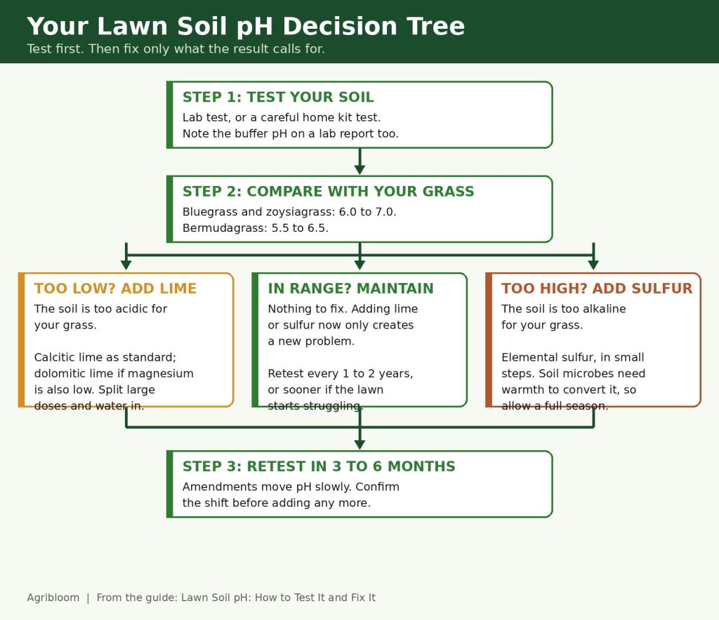 Lawn soil pH decision tree infographic: test the soil, compare the result with the grass range, add lime if low, add sulfur if high, maintain if in range, then retest