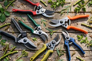 10 Best Pruning Shears for Clean Cuts