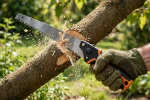 Best Pruning Saws: 10 Top Picks for 2026