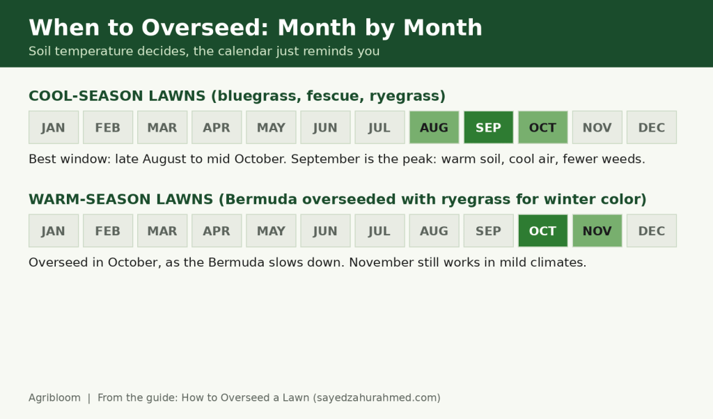 when to overseed a lawn by month: cool-season lawns in early fall, Bermuda lawns overseeded with ryegrass in October