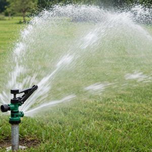 Rain Bird impact sprinkler on a metal spike watering a large lawn