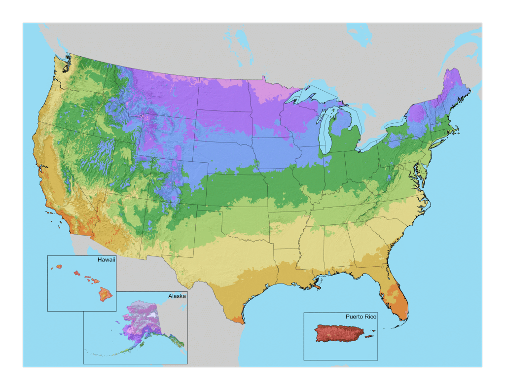 USDA plant hardiness zone map of the United States